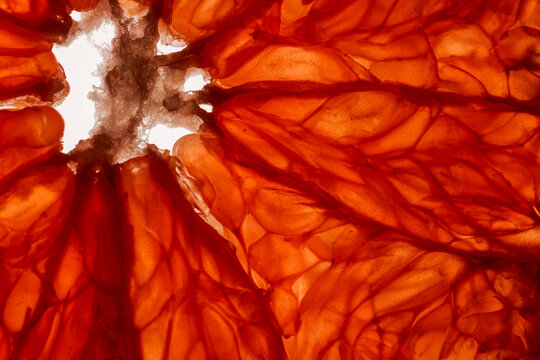 Grape fruit, citrus fruits