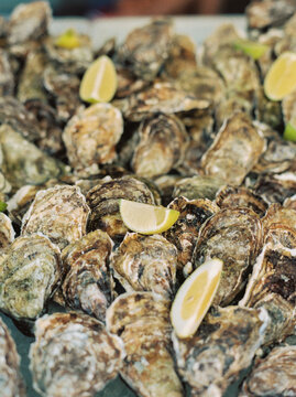 Oysters at the food market in Siracusa