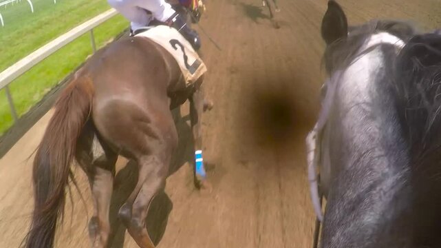 Horse racing POV