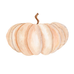 Beige pumpkin watercolor isolated on white background. Hand-painted autumn harvest illustration, perfect for Thanksgiving, Halloween, seasonal decor, cards, invitations, posters, and digital designs