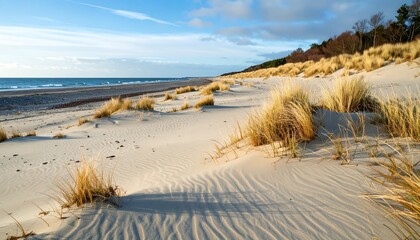Coastal dunes with a beach and blue sky