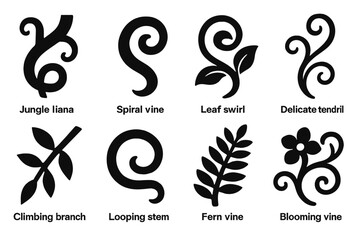 Nature silhouette icon set. jungle liana, spiral vine, leaf swirl, delicate tendril, climbing branch, looping stem, fern vine, blooming vine