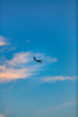 Faial, Azores, island, Portugal, Small airplane is flying in the sky above a blue and white cloudless sky. The sky is clear and bright, and the airplane is the only object in the scene