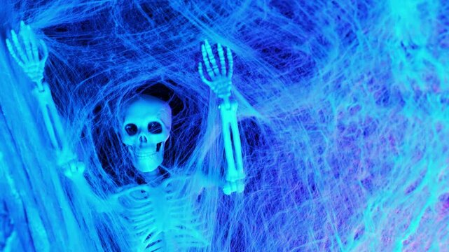 Shaking skeleton in a blue web.Halloween decoration. Skeleton entangled in a web. 4k footage