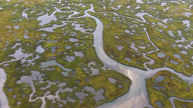 Sinuous channels meander through a scenic salt marsh on Cape Cod, Massachusetts. Salt marshes act as natural carbon sinks, are sheltered nurseries for wildlife, and buffer against storms and waves.
