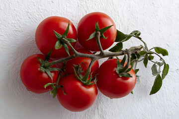 Ripe red tomatoes on vine with green leaves on white textured background, fresh and vibrant natural produce