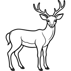 Obraz premium A majestic deer with large antlers standing gracefully depicted as a clean silhouette isolated on white background