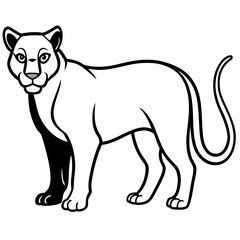 Obraz premium Stylized black and white illustration of a cougar standing alert isolated on white background silhouette