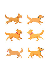 Obraz premium 可愛い犬たち2