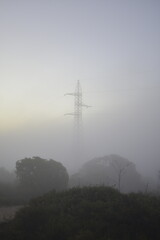 Obraz premium Electric power line through a foggy forest on a rainy day 