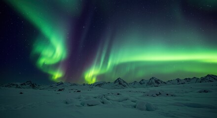 Naklejka premium Northern lights over snowy landscape