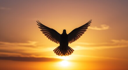 Bird silhouette at sunrise
