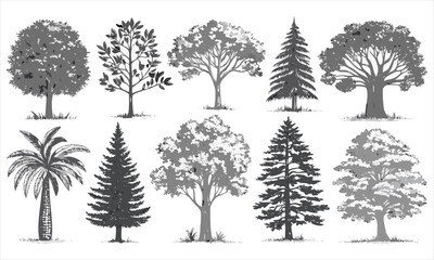 set of trees