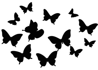 butterfly silhouettes
