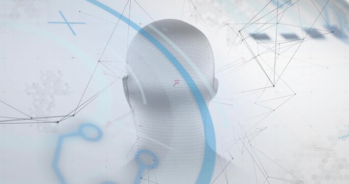 Displaying white 3D head sculpture facing away in visualization, with blue arcs and network lines