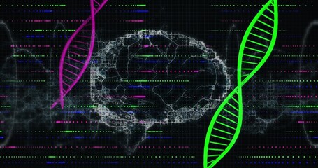 Displaying wireframe brain on dark grid, magenta-green DNA helices, streaming data, smoky textures