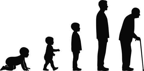Human life stages, aging process, silhouette evolution, baby to elderly, growth timeline, biological development, generational change, age progression, life journey, anatomy study