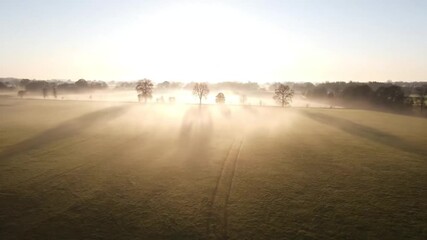 Aerial view of trees without leaves in a foggy field at sunrise creating a serene landscape - Powered by Adobe