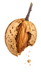 Broken almond with stem