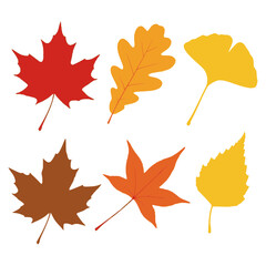 Autumnal Leaf Collection: An assortment of vibrant leaves in various shapes and hues, celebrating the essence of fall with their vivid colors.