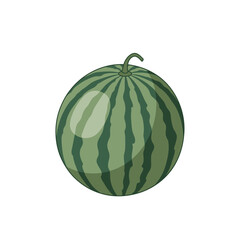 Cartoon Illustration of a Round Watermelon