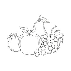 Black and White Line Art of Fruits with Leaves