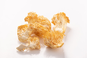 ［山形県産］乾燥　やまぶしたけ