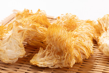 ［山形県産］乾燥　やまぶしたけ