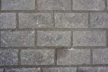 Close-up of gray stone pavement with rectangular bricks and textured surface, urban street background.