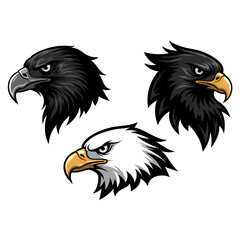 Obraz premium eagle head vector illustration