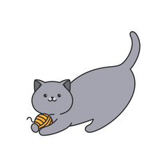 british shorthair illustration