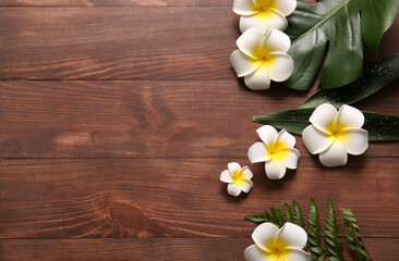 Beautiful plumeria flowers and tropical leaves on brown wooden background, closeup