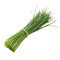 Bundle of Fresh Green Chives Secured with Yellow Rubber Band Isolated herb