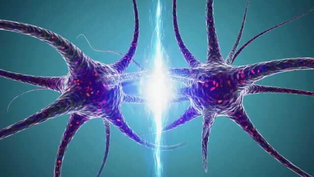 A highly detailed 3D rendering of neuron synapse connections shows glowing electrical impulses, complexity of brain activity, neuroscience, artificial intelligence, advanced biological communication - Powered by Adobe