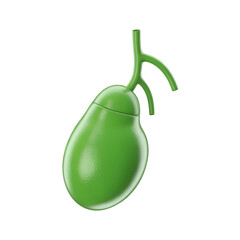 Green Gallbladder Model With Ducts Isolated on Black anatomy medical