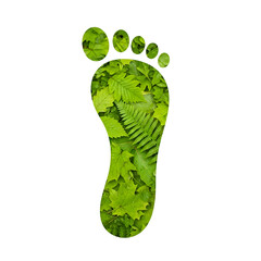 Footprint Shows Green Leaves on Transparent Background, Representing Ecological Footprint Concept