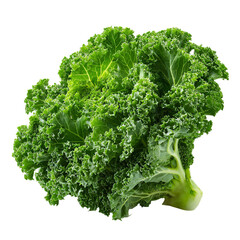 Fresh kale head, vibrant green leaves (3)