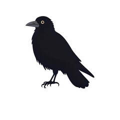 Obraz premium Black silhouette of a black crow