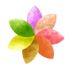 colorful flower isolated on white