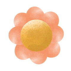 fresh fruit isolated on white