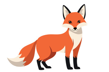 Obraz premium red fox isolated on white, cartoon animal vectors