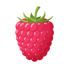 Delicious Fresh Raspberry Icon on White Background - Healthy Fruit