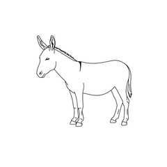 Fototapeta premium Line Art Illustration of a Donkey Standing Profile