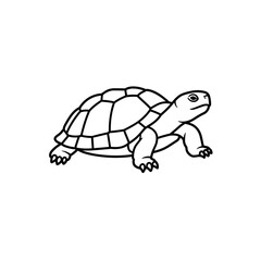 Simple Line Art Illustration of a Turtle