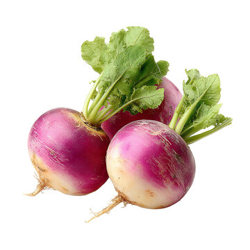Three purple turnips with green leaves