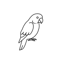 Minimalist line art of a parrot with a curved beak and small eye