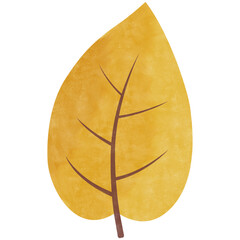 watercolor autumn orange leaf illustration