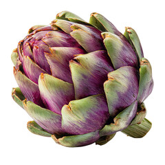 Obraz premium Close-up of a vibrant purple artichoke (5)
