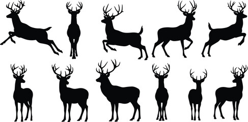 Deer silhouettes collection, wild animal vector set, reindeer stag illustration, hunting wildlife design, Christmas decoration, nature silhouette graphic art © Rafin's World