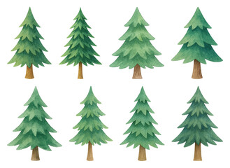 Obraz premium PNG Watercolor evergreen tree illustrations, element set on transparent background